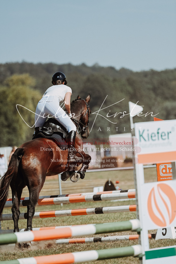 DSC_9994 | Pferde- und Turnierfotografie in Westsachsen. Pferdeportraits, Auftragszeichnungen und intuitive Kunst.