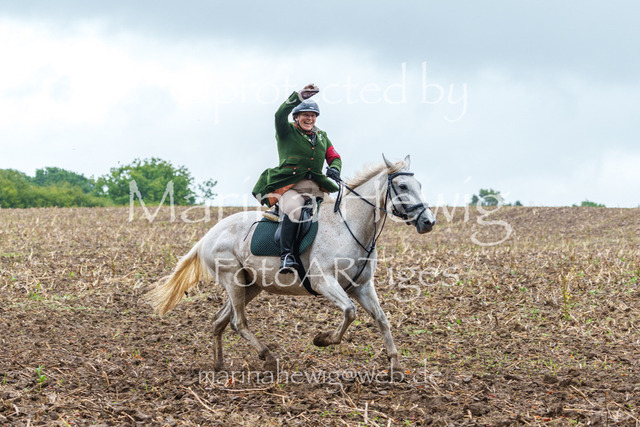 Jagd Kletkamp 26-03104_MarinaHewig | Fotografie, FotoArt, PferdesportArt, Pferdesportfotografie, Landschaftsfotografie, Reisefotografie, Reise, Pferde - Realisiert mit Pictrs.com