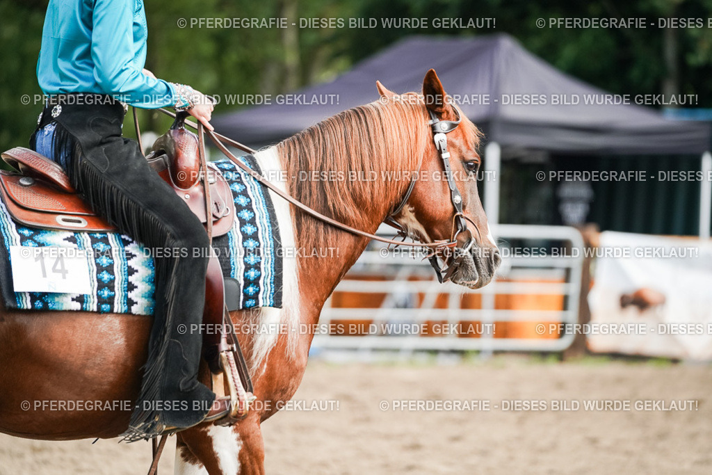 DSC04841 | Pferdegrafie