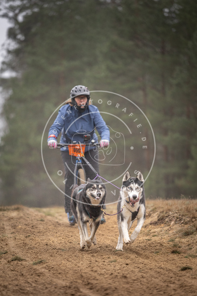 Pfotenfotografie_DV3A1215 | Hundefotografie, Tierfotograf, Pfotenfotografie, Fotoshooting Hund, Hunde Portrait, Hundesport, Hundeportraits, Heideshooting, Hunde, Sportfotograf, Hundefotograf, Turnierhundsport, THS,  - Realisiert mit Pictrs.com