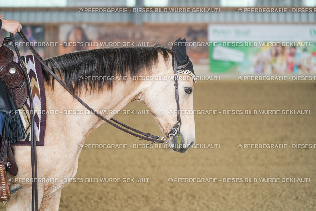 DSC02546 | Pferdegrafie