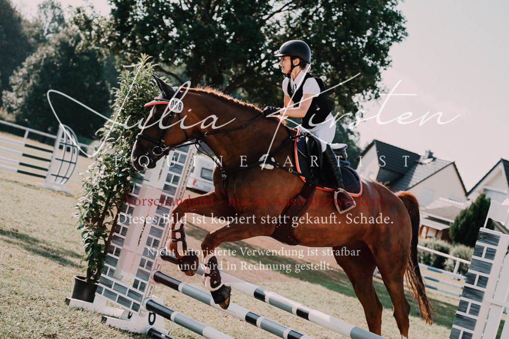 DSC_4871 | Pferde- und Turnierfotografie in Westsachsen. Pferdeportraits, Auftragszeichnungen und intuitive Kunst.