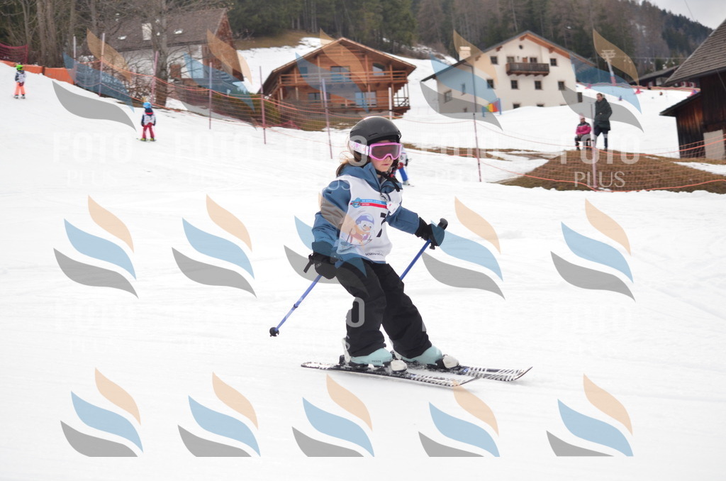 B9979 | holidayphoto