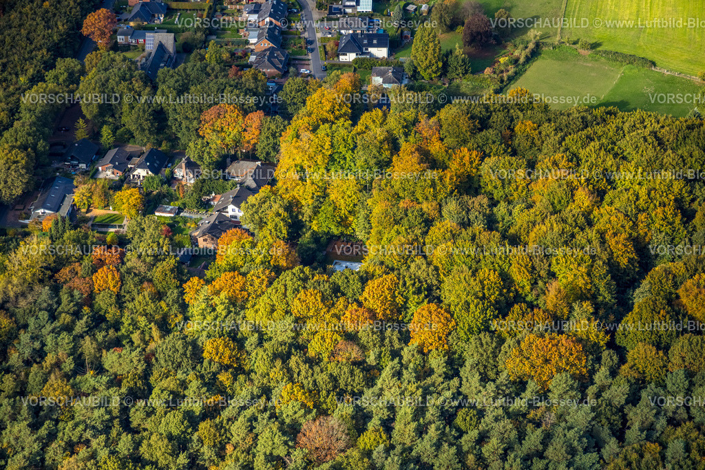 Emmerich251005458 | Luftbild, Vogelnamen-Wohnsiedlung im herbstlichen Wald, Amselweg, Borghees, Emmerich am Rhein, Niederrhein, Nordrhein-Westfalen, Deutschland