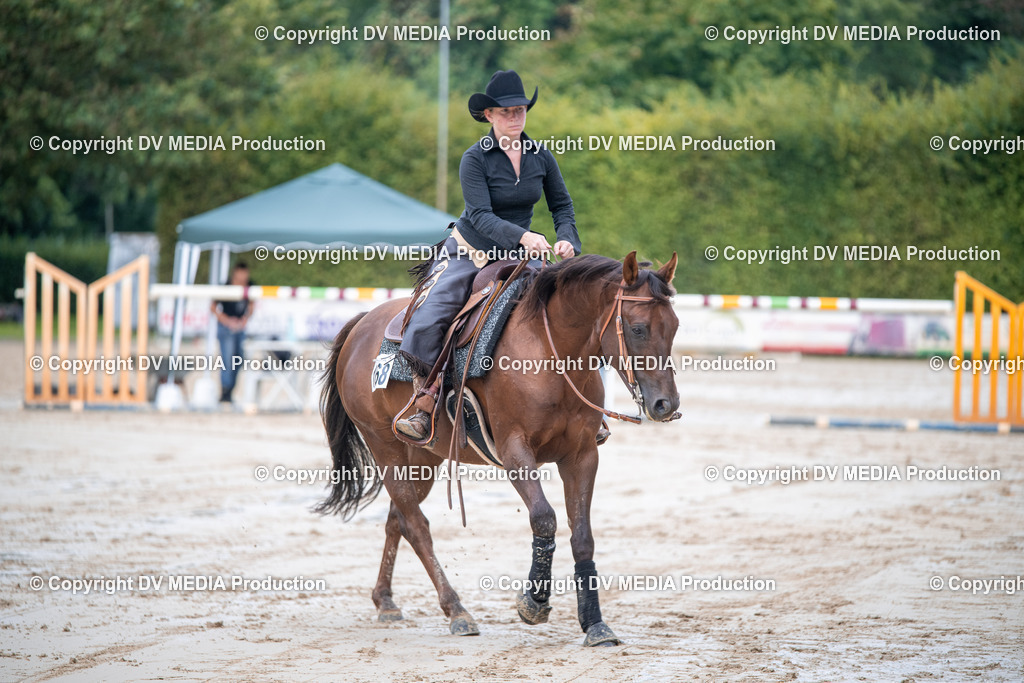 ZS2_4432 | dv-media-shop - Realisiert mit Pictrs.com