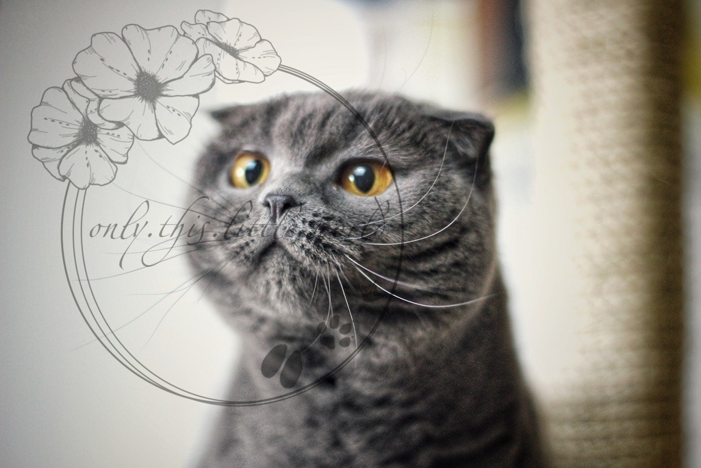 IMG_4411 | only.this.little.world - Realisiert mit Pictrs.com