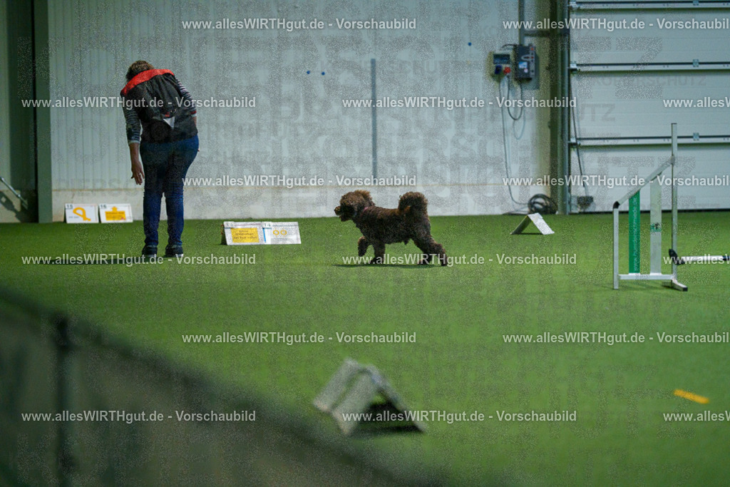7R503578 | Professionelle Tierfotografie in Mönchengladbach von Daniel Wirth (allesWIRTHgut). Liebevolle & natürliche Bilder von Hunden & Katzen für unvergessliche Erinnerungen.