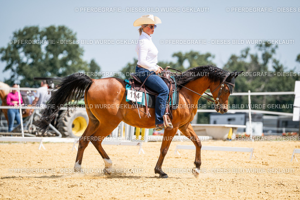 DSC00433 | Pferdegrafie