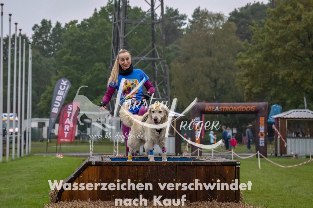1230--16 | kk-dogfotos