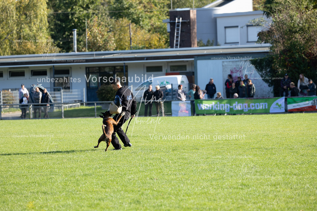 _16A5118 | Einzigartige Fotos von Hunden & Menschen –Actionfotos, Portraits, Vereinsaufnahmen & Paarshootings – authentisch, lebendig & mit Herz.