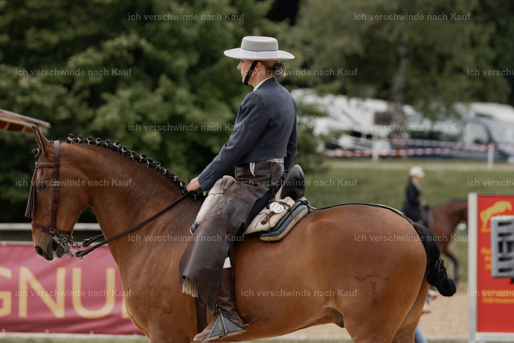 WE_DR_Stoib_313_PI2025_276 | Pferd International München 2025