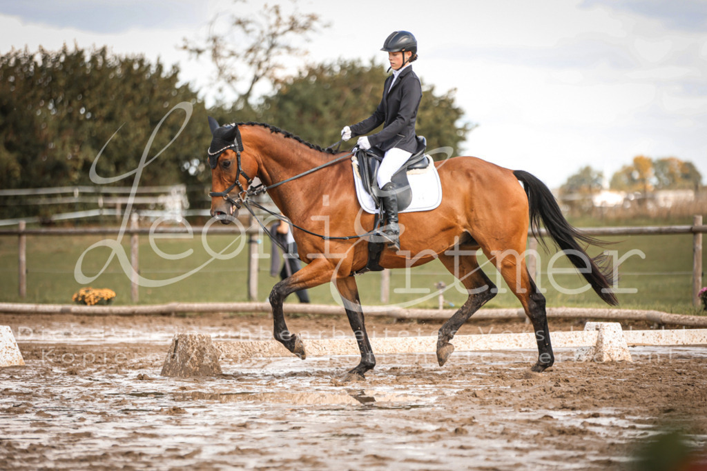 02.SoDrWB00220 | Leoni Ertmer Photography - Realisiert mit Pictrs.com