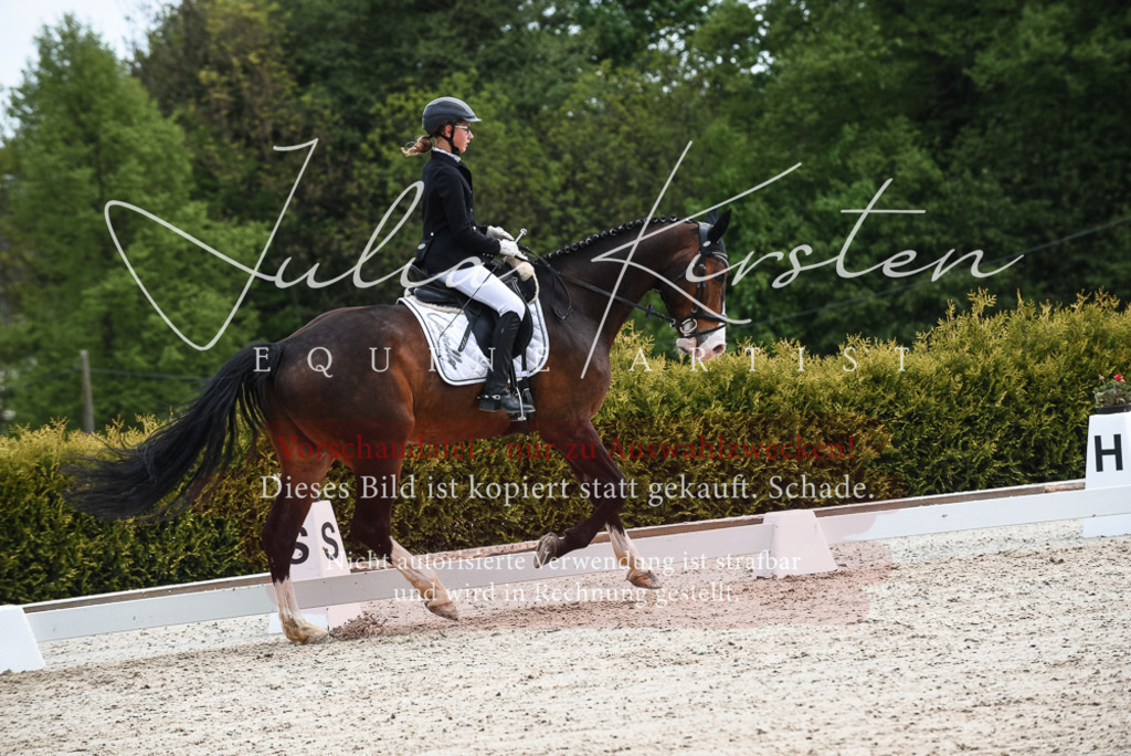 20230518_JK-Röhrsdorf-11-0368 | Pferde- und Turnierfotografie in Westsachsen. Pferdeportraits, Auftragszeichnungen und intuitive Kunst.
