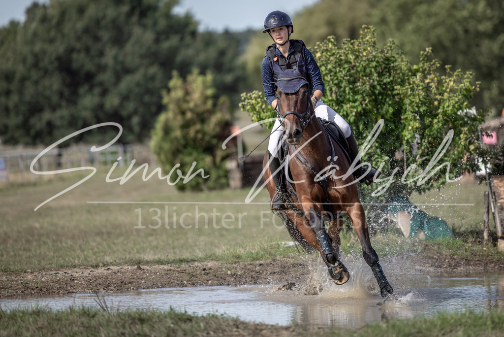 20250907-_3LI9475 | Tierfotografie Pferde, Hunde, Katzen, Haustiere.
Turnierfotografie Reitturniere, Reiten, Springreiten, Dressur in Hanau, dem Main-Kinzig-Kreis und dem Rhein-Main- Gebiet um Frankfurt
