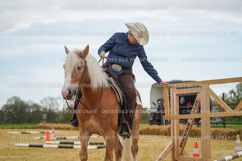 DSC02729 | Pferdegrafie