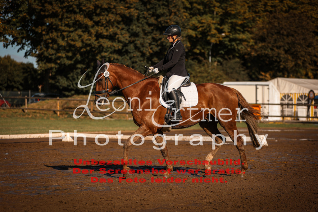 13.SoDrA100315 | Leoni Ertmer Photography - Realisiert mit Pictrs.com