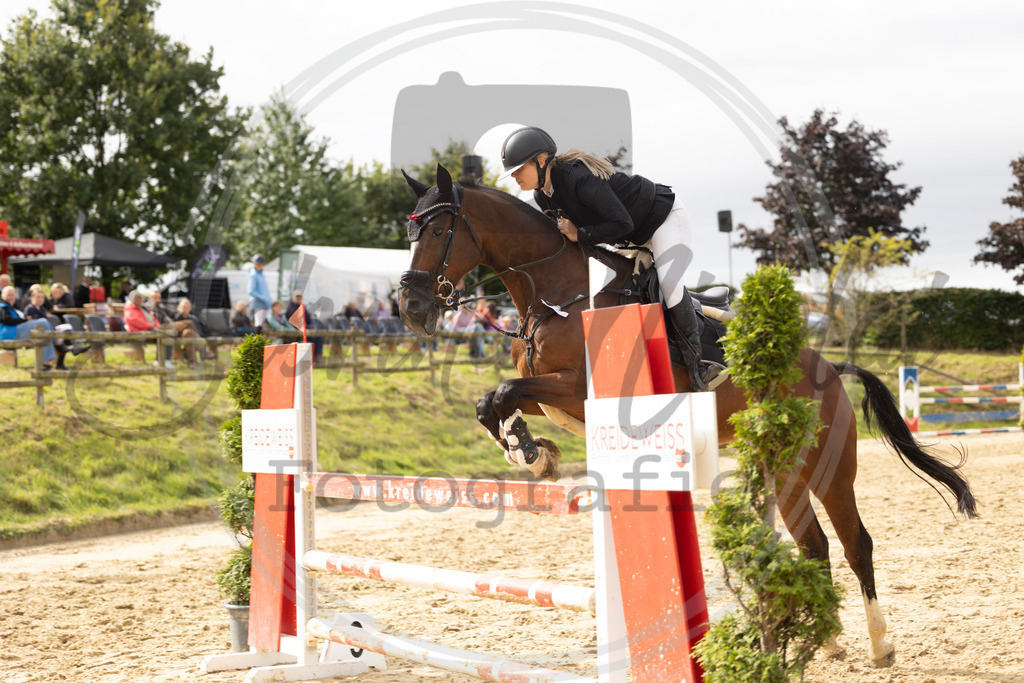 994A9073 | sabrinanicolaifotografie - Realisiert mit Pictrs.com