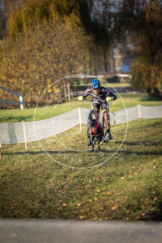 CaniXpix_DV3A0869 | Hundefotografie, Tierfotograf, Pfotenfotografie, Fotoshooting Hund, Hunde Portrait, Hundesport, Hundeportraits, Heideshooting, Hunde, Sportfotograf, Hundefotograf, Turnierhundsport, THS,  - Realisiert mit Pictrs.com