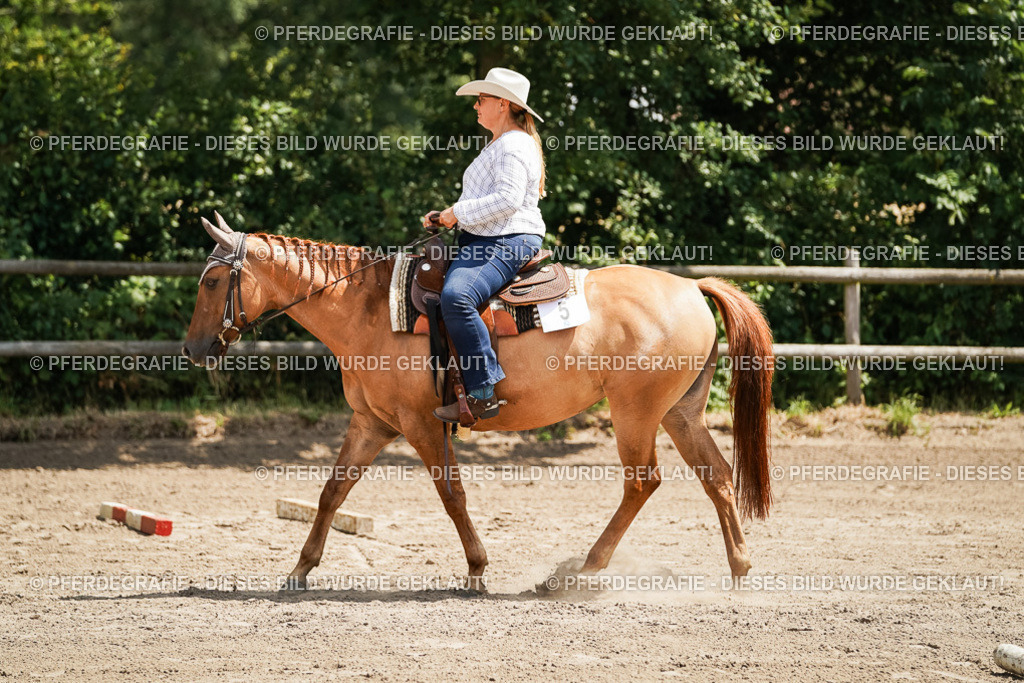 DSC07831 | Pferdegrafie