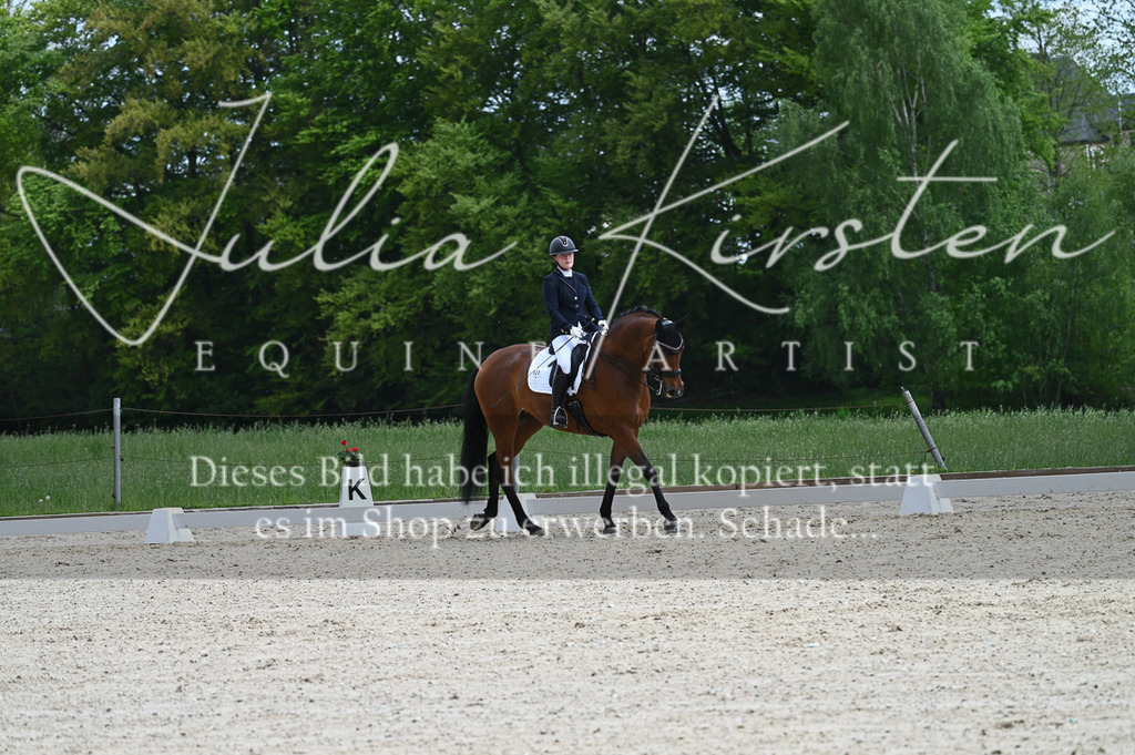 20230512_JK-Röhrsdorf-05-065 | Pferde- und Turnierfotografie in Westsachsen. Pferdeportraits, Auftragszeichnungen und intuitive Kunst.