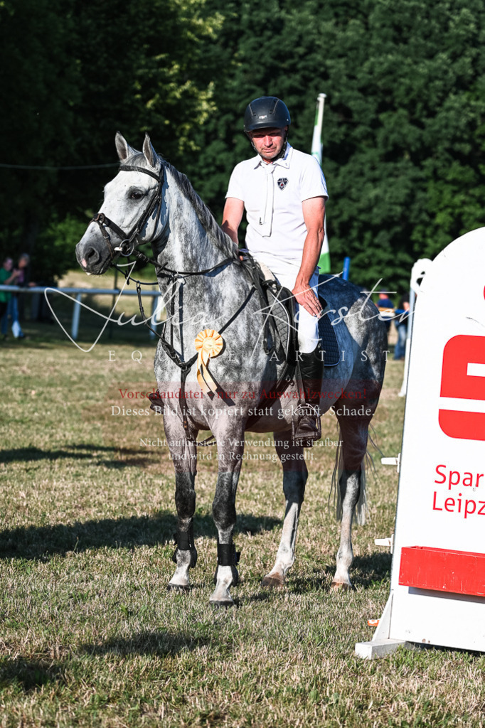 DSC_3183 | Pferde- und Turnierfotografie in Westsachsen. Pferdeportraits, Auftragszeichnungen und intuitive Kunst.