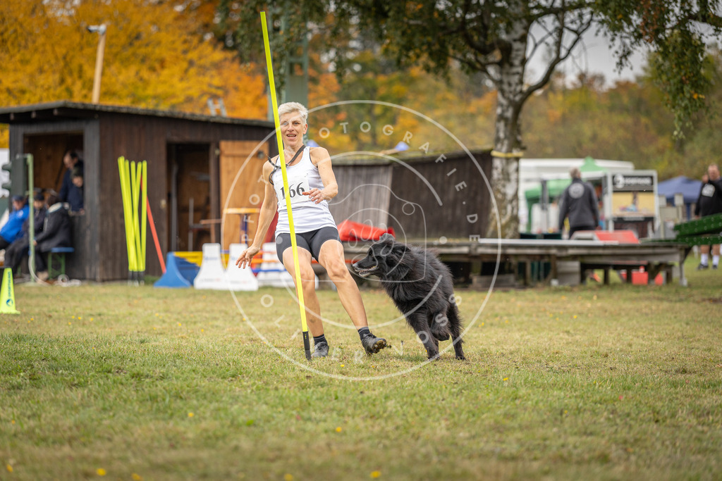 Pfotenfotografie_DV3A6281 | Hundefotografie, Tierfotograf, Pfotenfotografie, Fotoshooting Hund, Hunde Portrait, Hundesport, Hundeportraits, Heideshooting, Hunde, Sportfotograf, Hundefotograf, Turnierhundsport, THS,  - Realisiert mit Pictrs.com
