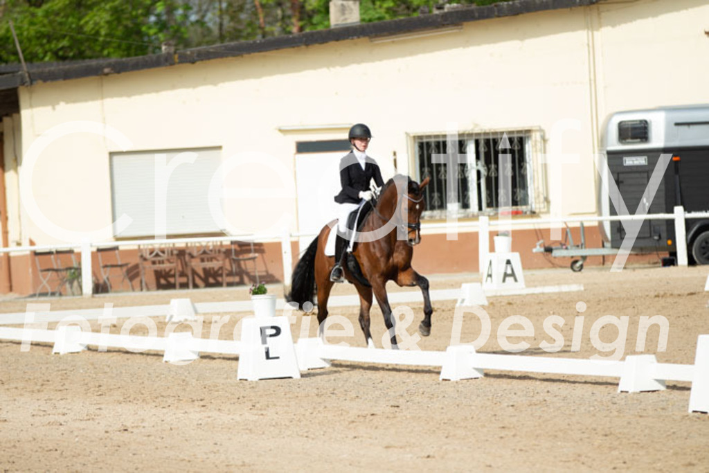 IMG_0852 | Creatify Fotografie