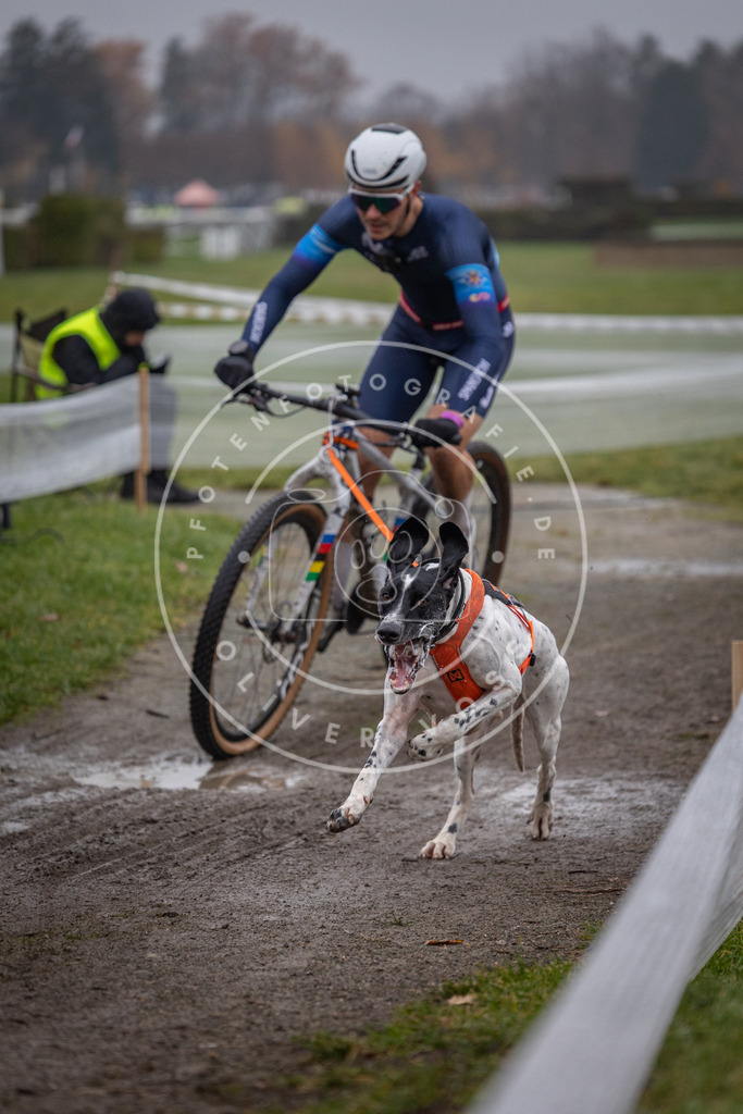 CaniXpix_0L8A1034 | Hundefotografie, Tierfotograf, Pfotenfotografie, Fotoshooting Hund, Hunde Portrait, Hundesport, Hundeportraits, Heideshooting, Hunde, Sportfotograf, Hundefotograf, Turnierhundsport, THS,  - Realisiert mit Pictrs.com
