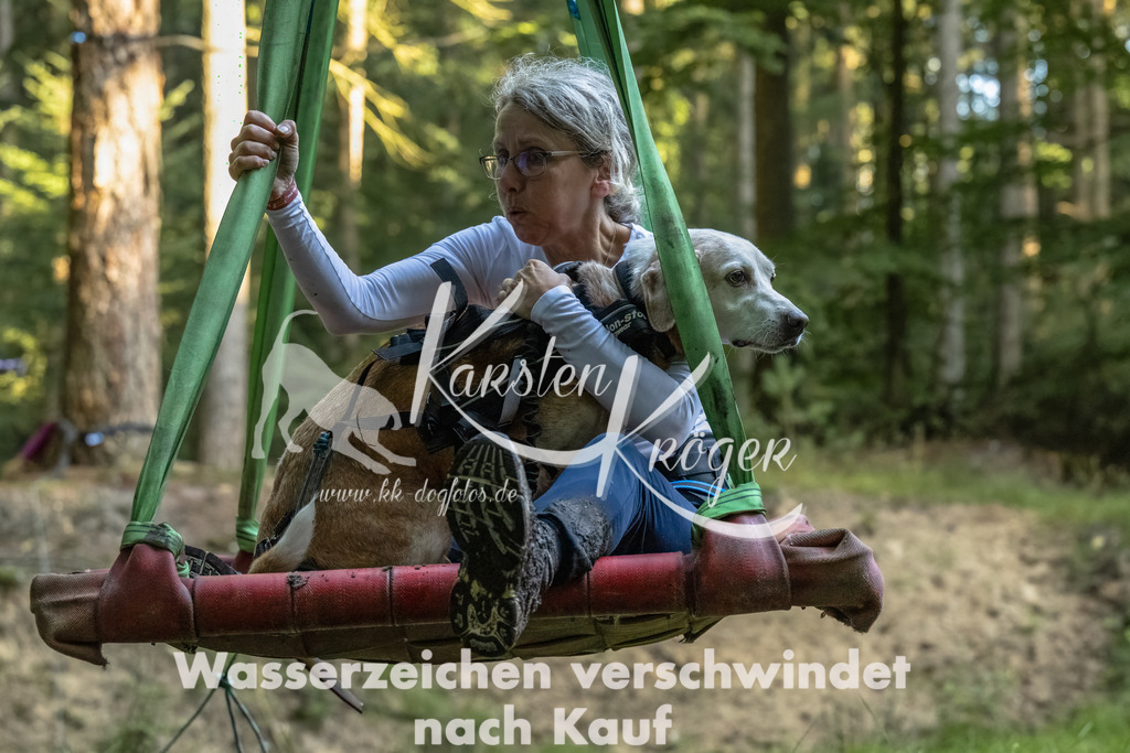 0916_ZZ90799-Bearbeitet | kk-dogfotos