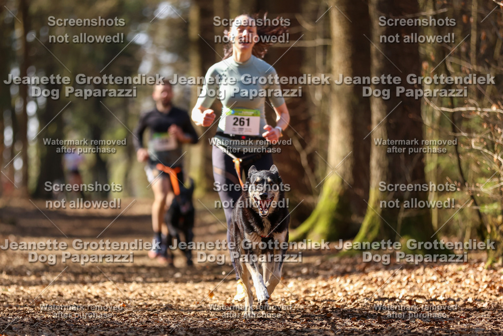 Dog Paparazzi - VCC26-1128 | Dog Paparazzi Jeanette Grottendiek Fotografie & Videografie - Realisiert mit Pictrs.com