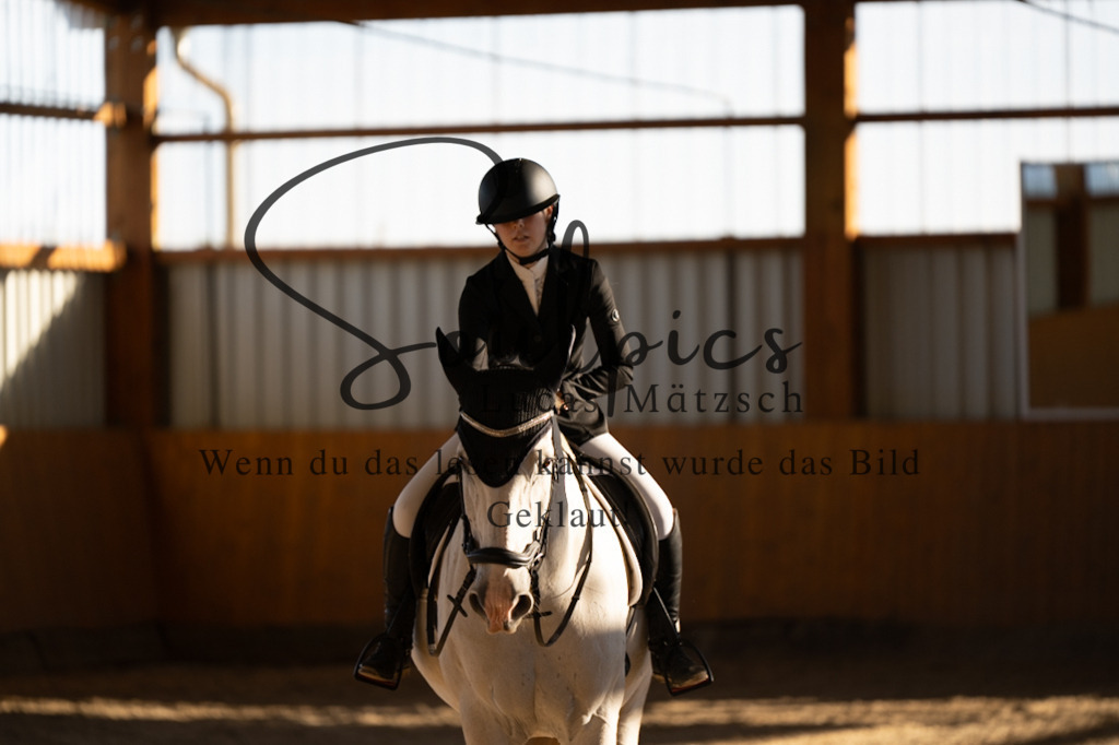 A7V01670 | Turnier/Reitfotograf