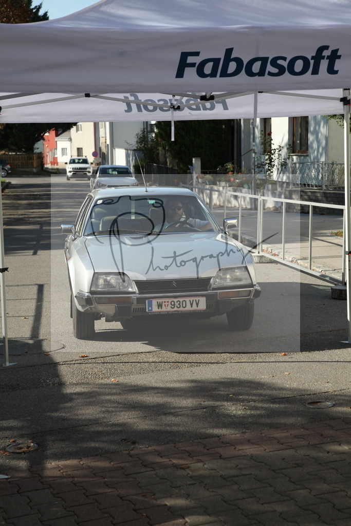 IMG_4203 | Gerhard Witt