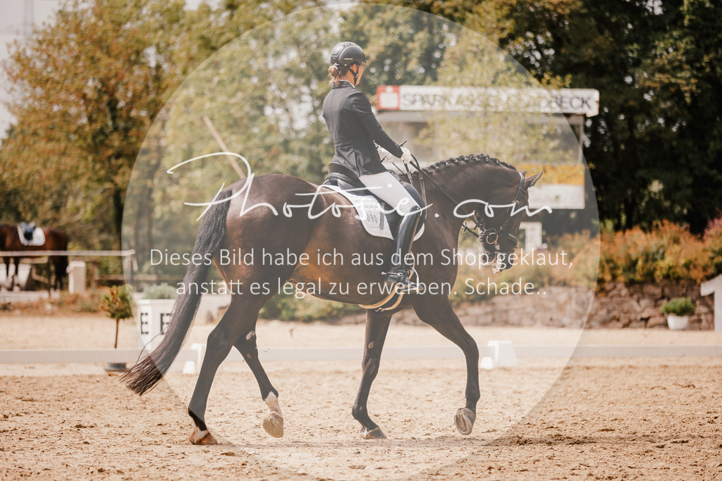 3I6A6133 | Stimmungsvolle Portraits und Reitsportfotografie im Ruhrgebiet und im Münsterland.

Pferdefotografie, Hundefotografie, Tierfotografie, Reportagen, Portraits von Tier und Mensch, Turnierfotografie in Bochum, Recklinghausen, Marl, Haltern am See, Dülmen.. - Realisiert mit Pictrs.com