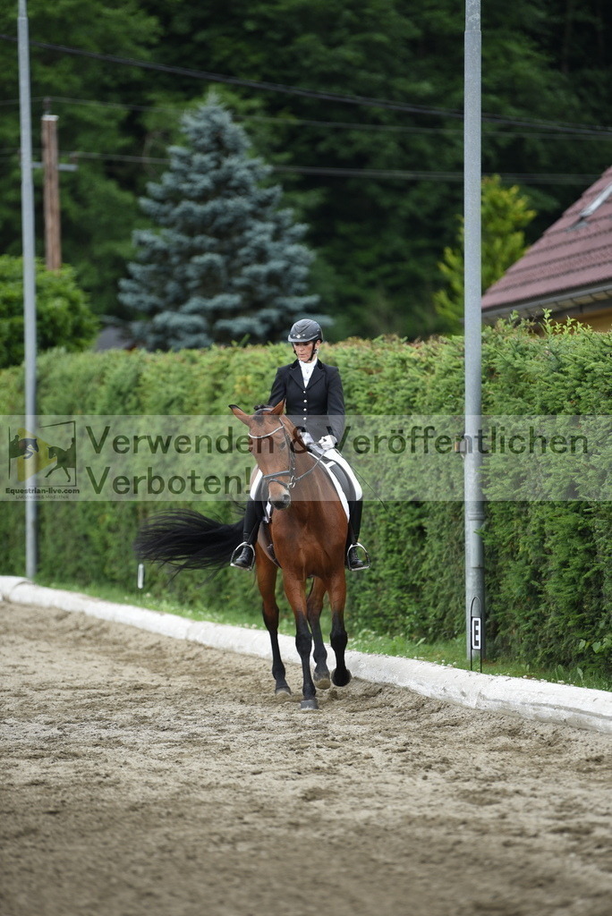 DSC_4764 | equestrian-live-com