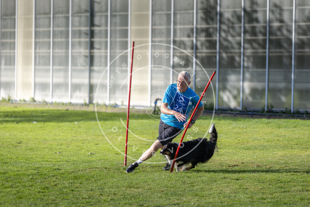 Pfotenfotografie.de_DV3A3294 | Hundefotografie, Tierfotograf, Pfotenfotografie, Fotoshooting Hund, Hunde Portrait, Hundesport, Hundeportraits, Heideshooting, Hunde, Sportfotograf, Hundefotograf, Turnierhundsport, THS, canicross - Realisiert mit Pictrs.com