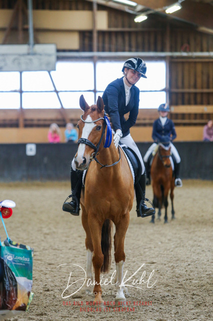IMG_0758 | Turniersportfotografie; Pferdefotografie; Dressurfotografie