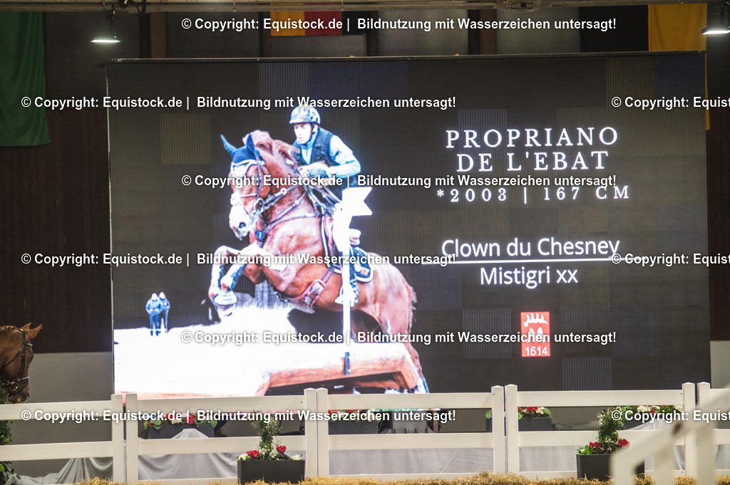 20240302_Hengstvorstellung_Marbach_TOMsPiC_1333 | equistock