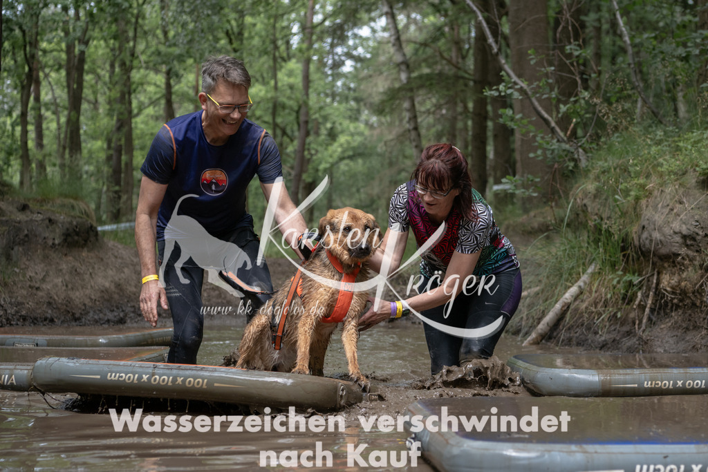 1335_ZZ94777 | kk-dogfotos