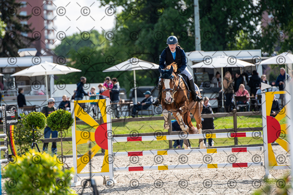 KPT_4637 | andre_photographic