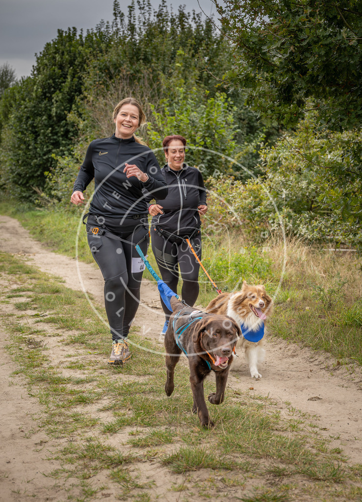 Pfotenfotografie_DV3A6265 | Hundefotografie, Tierfotograf, Pfotenfotografie, Fotoshooting Hund, Hunde Portrait, Hundesport, Hundeportraits, Heideshooting, Hunde, Sportfotograf, Hundefotograf, Turnierhundsport, THS,  - Realisiert mit Pictrs.com