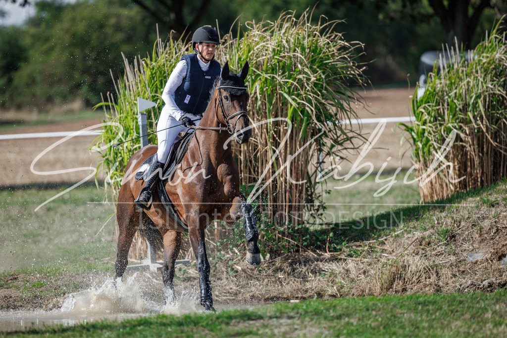 20260905-_3LI0021 | Tierfotografie Pferde, Hunde, Katzen, Haustiere.
Turnierfotografie Reitturniere, Reiten, Springreiten, Dressur in Hanau, dem Main-Kinzig-Kreis und dem Rhein-Main- Gebiet um Frankfurt
