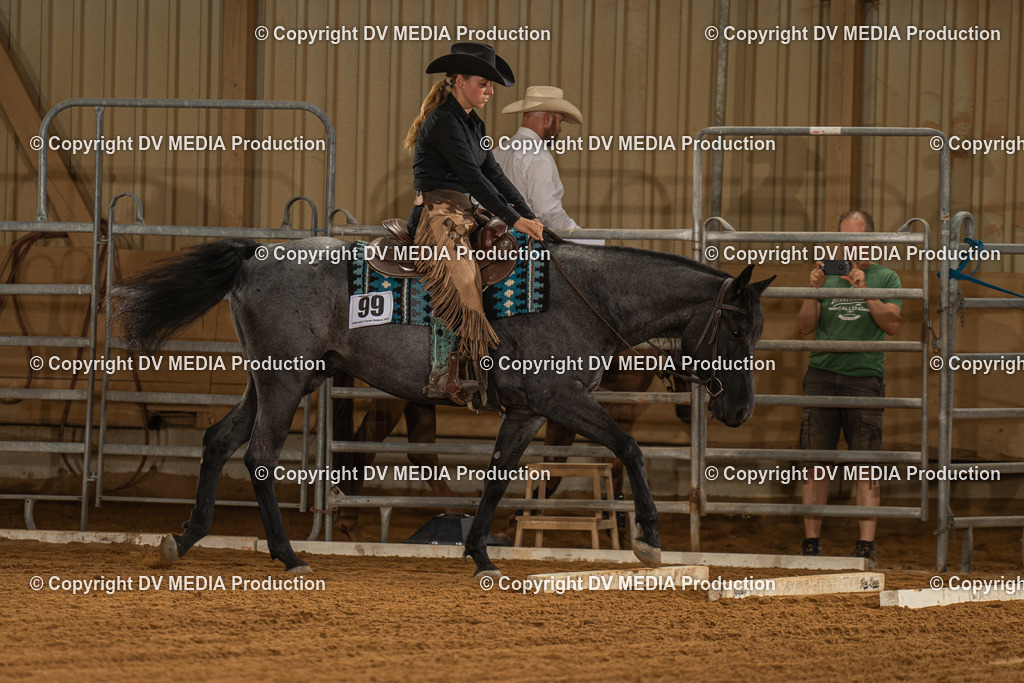 NID01777 | dv-media-shop - Realisiert mit Pictrs.com