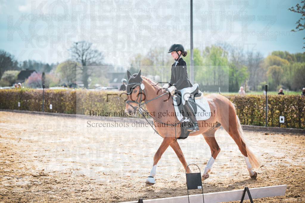 DOS_6339 | Entdecke hochwertige Reitturnierfotos von Foto Oger. Professionell, emotional und authentisch – jetzt Lieblingsmomente im Shop bestellen.Deutschlandweite Turnierfotografie. - Realisiert mit Pictrs.com