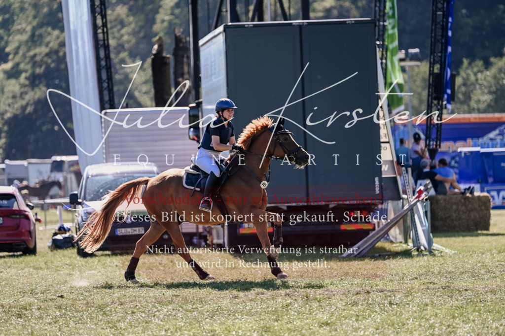 DSC_3050 | Pferde- und Turnierfotografie in Westsachsen. Pferdeportraits, Auftragszeichnungen und intuitive Kunst.