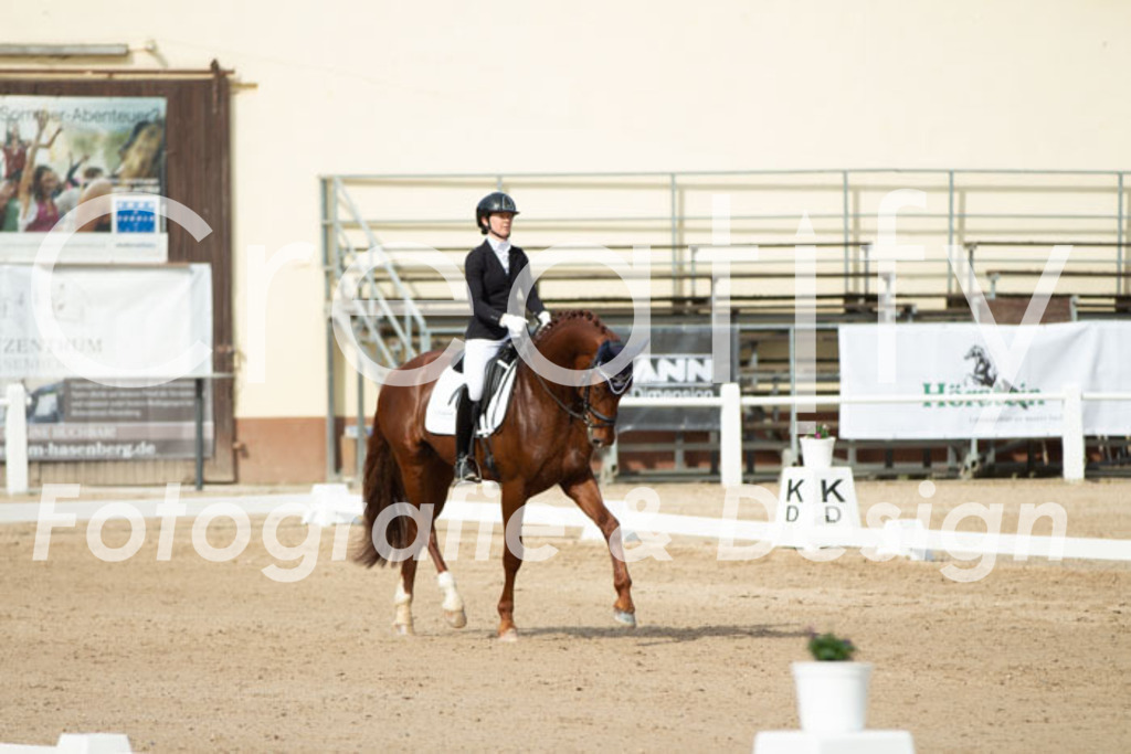 IMG_1018 | Creatify Fotografie