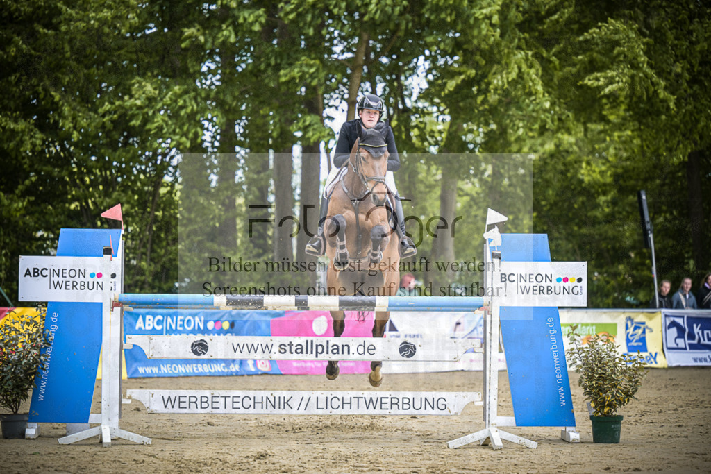 DOS_9752 | Entdecke hochwertige Reitturnierfotos von Foto Oger. Professionell, emotional und authentisch – jetzt Lieblingsmomente im Shop bestellen.Deutschlandweite Turnierfotografie. - Realisiert mit Pictrs.com