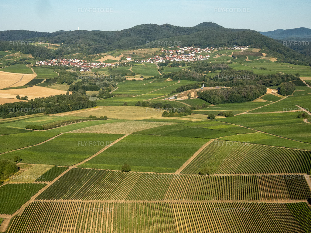 Luftbild: Weinberge westlich der Winzerdörfer im Ortsteil Gleiszellen in Gleiszellen-Gleishorbach im Bundesland Rheinland-Pfalz in Deutschland. Foto: P8080023.jpg vom 08.08.2022 durch Werner Riehm/FLY-FOTO.de