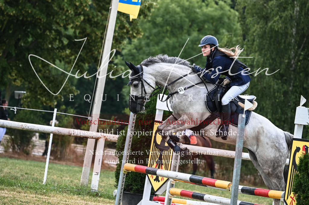 DSC_8149 | Pferde- und Turnierfotografie in Westsachsen. Pferdeportraits, Auftragszeichnungen und intuitive Kunst.