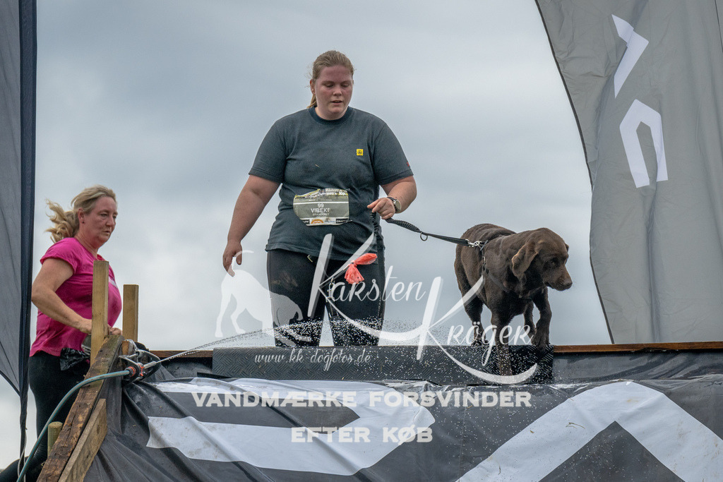 1541_ZZ94967 | kk-dogfotos