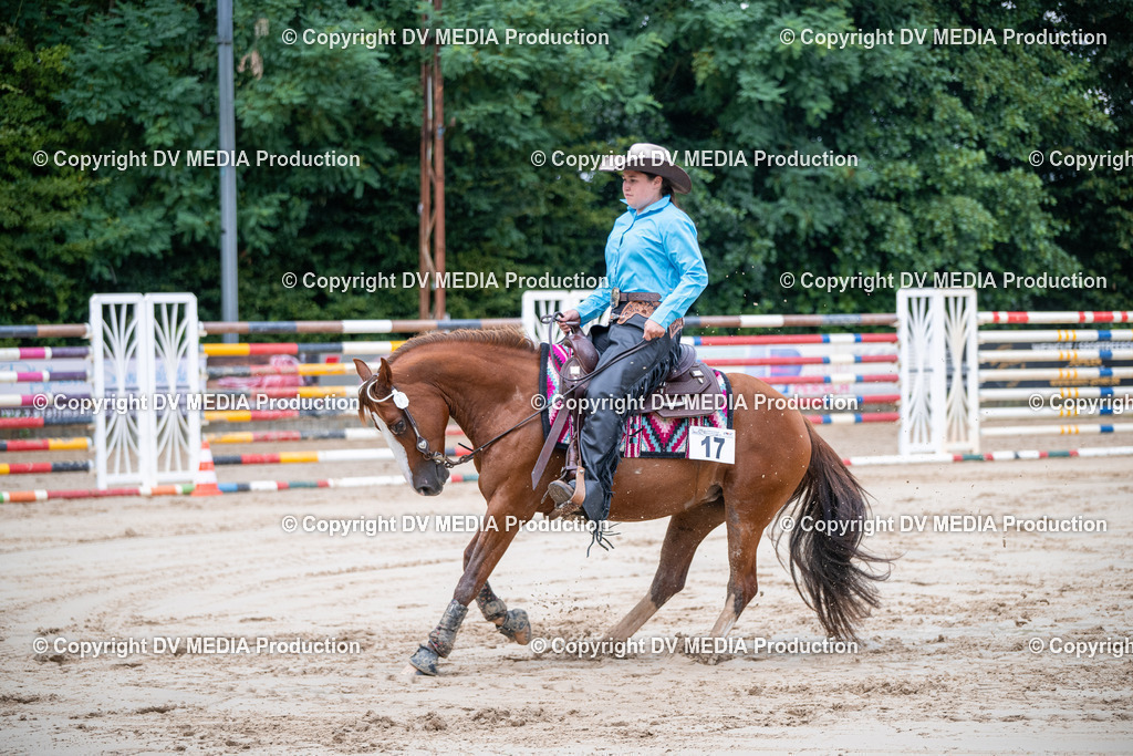 ZS2_4386 | dv-media-shop - Realisiert mit Pictrs.com